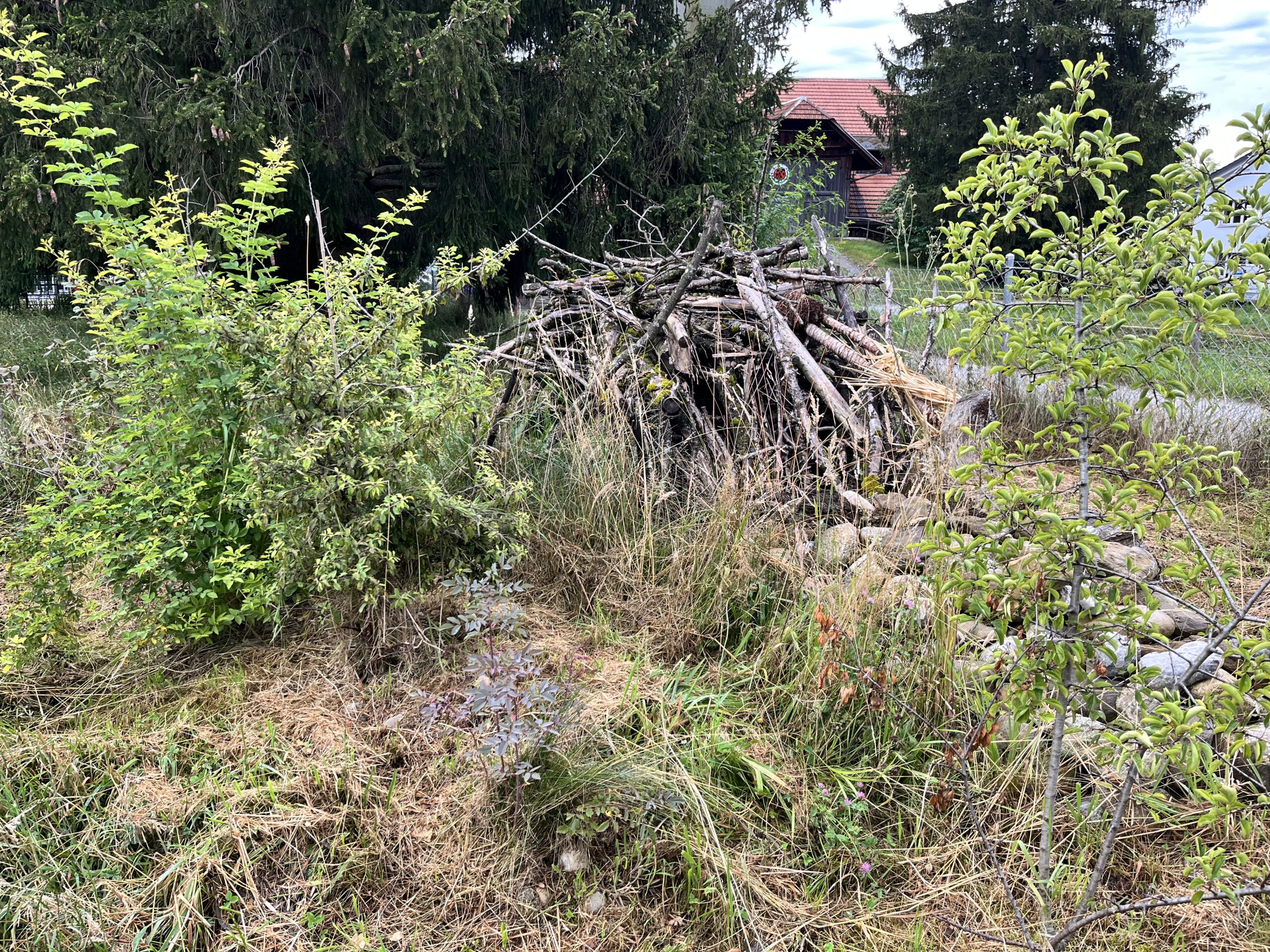 Totholz- und Steinhaufen am Nesslerenweg in Wabern.